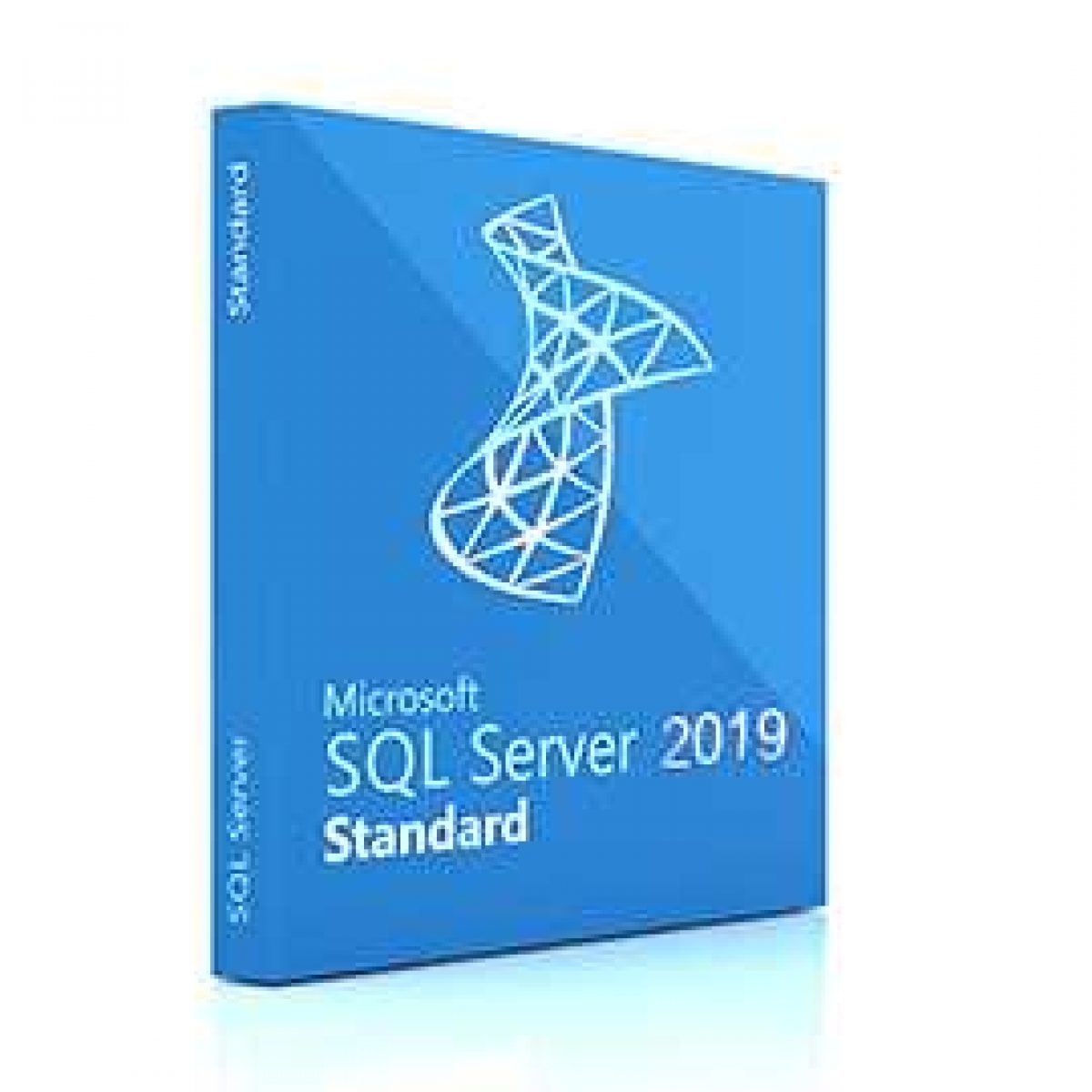 SQL Server 2019 Standart эл ключ OEM | Softmonster